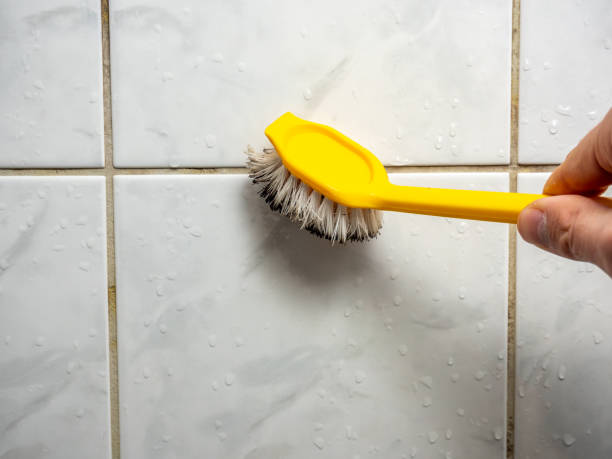 Best Attic Mold Removal  in Old Brookville, NY